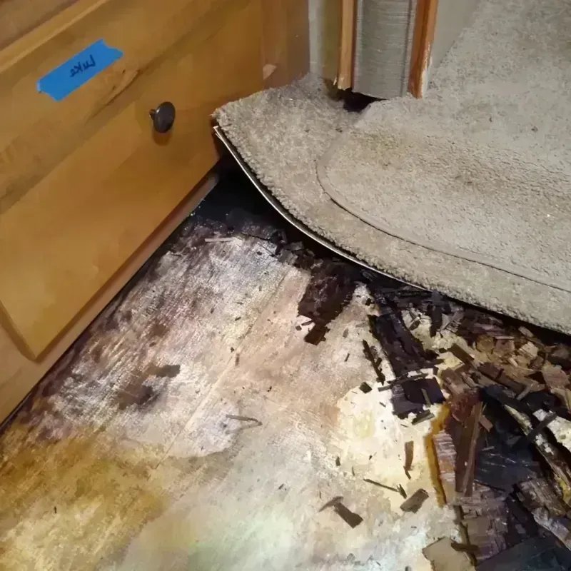 Best Wood Floor Water Damage Service in Ellsworth, ME